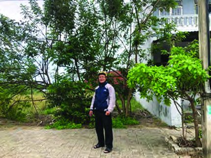 Photo from the report: Update on The Vision for Da Nang